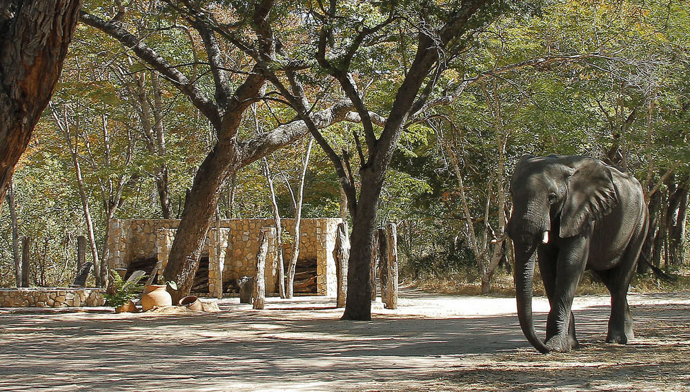 Gwango Heritage Resort Dete Exterior photo