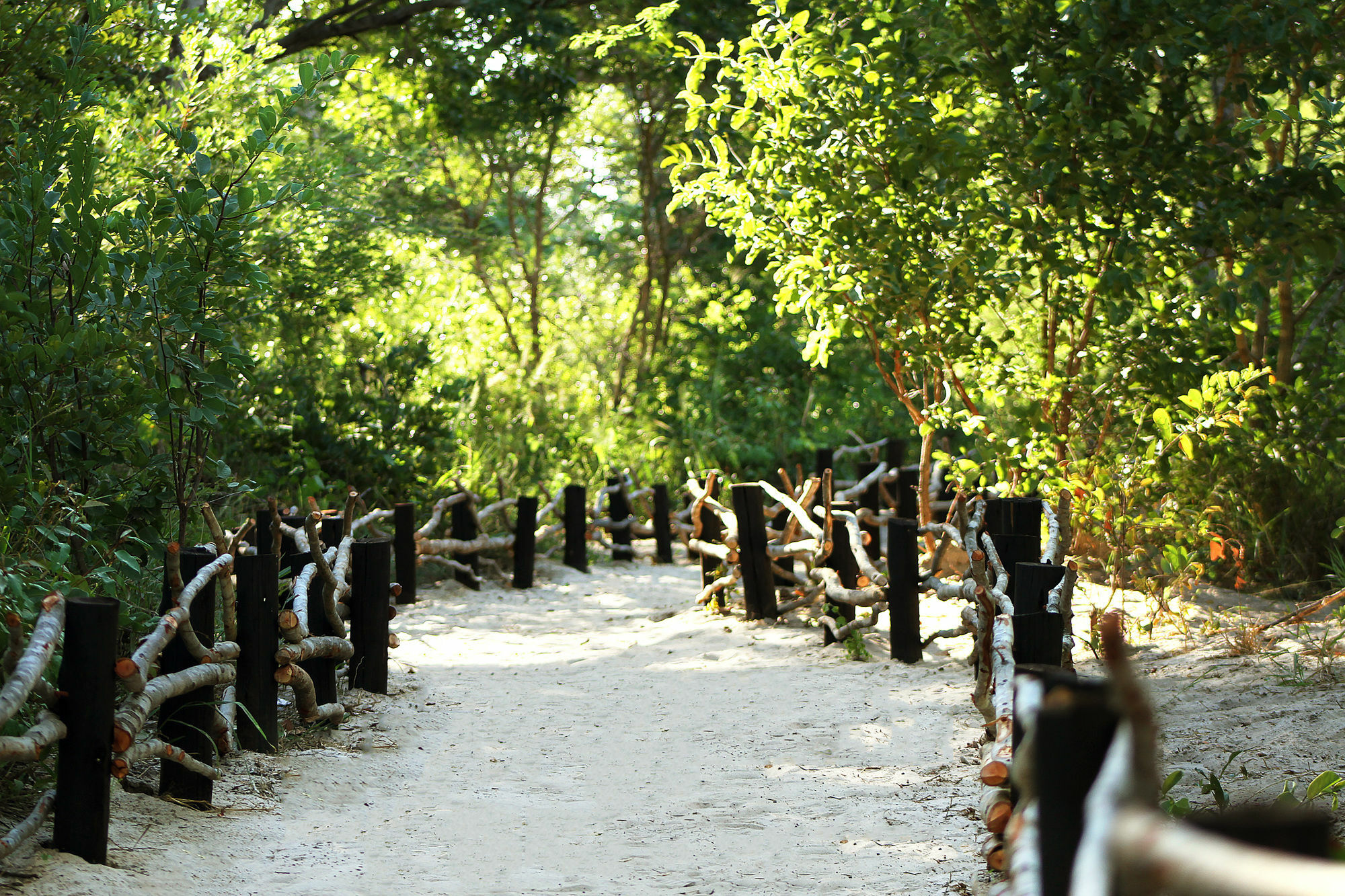 Gwango Heritage Resort Dete Exterior photo